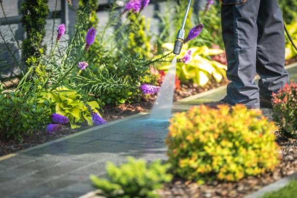 Best Restaurant Pressure Washing  in Emporia, KS